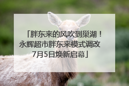 胖东来的风吹到巢湖！永辉超市胖东来模式调改7月5日焕新启幕